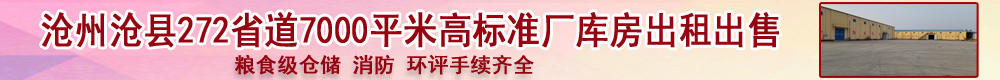 沧州沧县272省道7000平米高标准厂库房出租出售